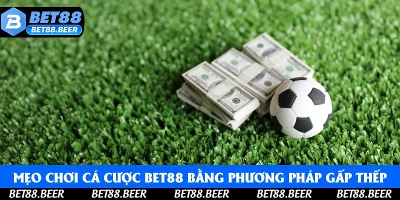 Mẹo chơi cá cược Bet88 bằng phương pháp gấp thếp